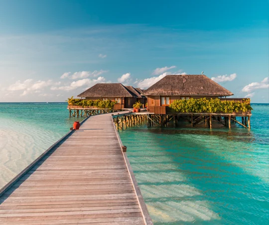 Flitterwochen und Hochzeitsreisen auf den Malediven