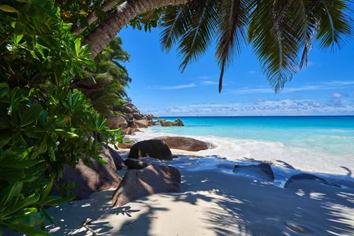 Flitterwochen und Hochzeitsreisen auf den Seychellen