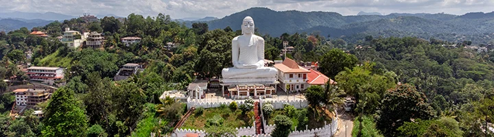 Hochzeitsreise im Februar nach Sri Lanka