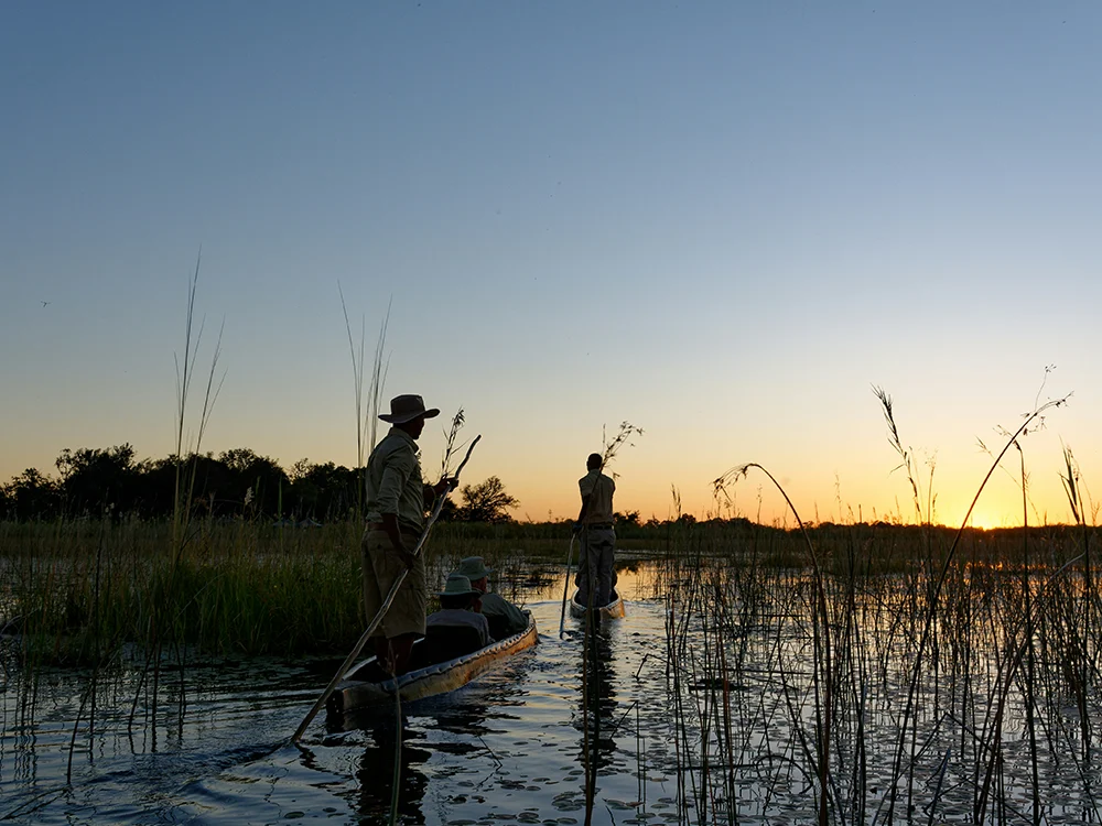 romantische Sunset Cruise auf dem OKAVANGO DELTA
