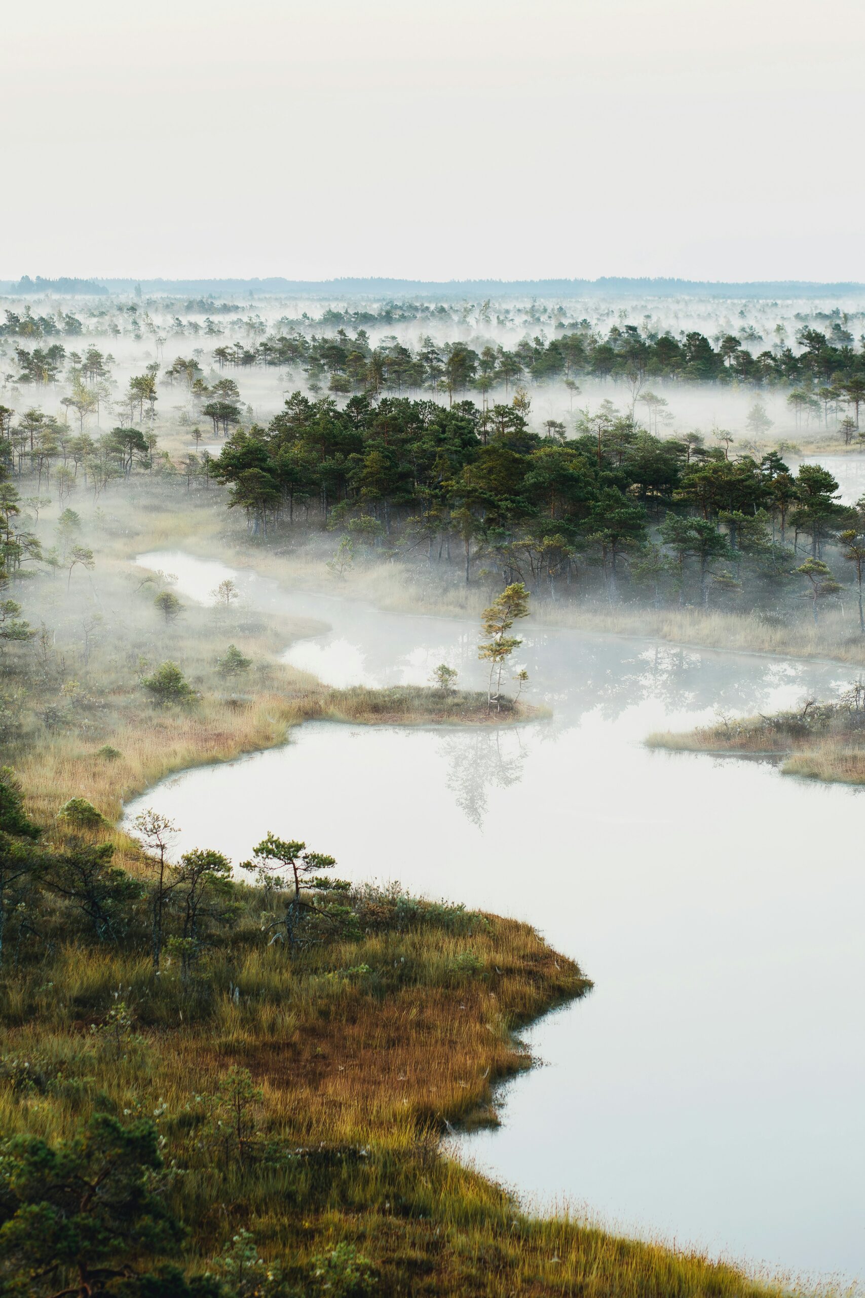 Afrika Botswana Hochzeitsreise